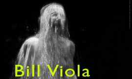 Bill Viola – foto’s (2009)